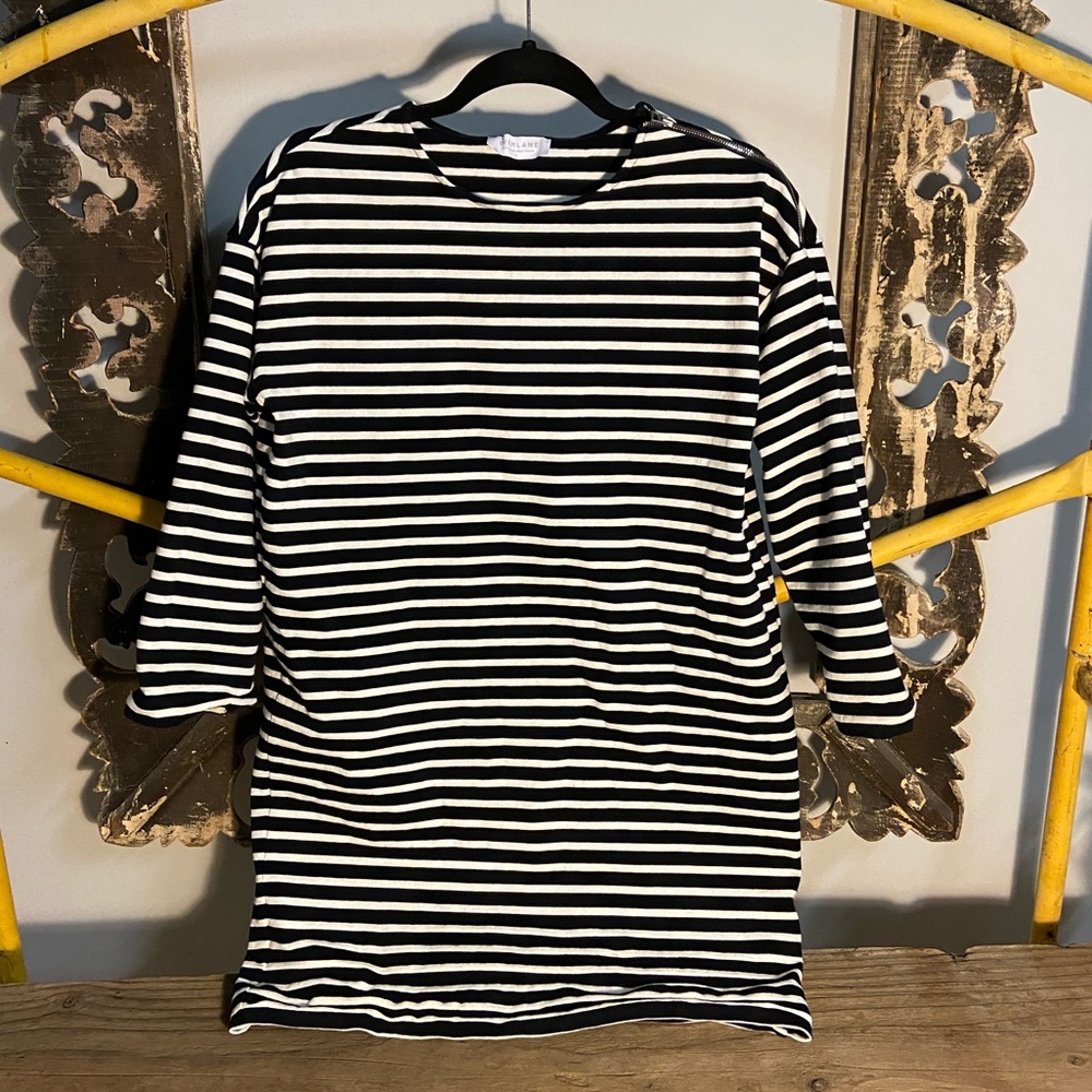 Black and white Everlane striped dress